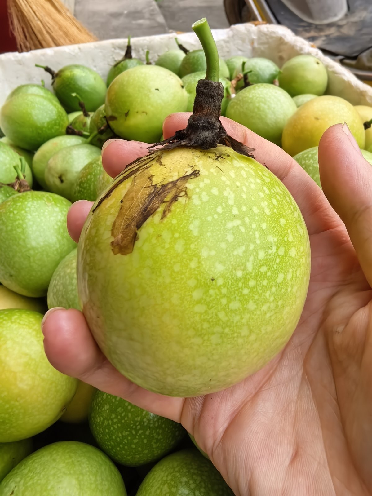 百香果果肉特写